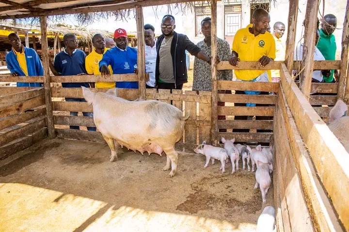 Shombo Commune Champions Sustainable Agriculture for Self-Sufficiency and Development