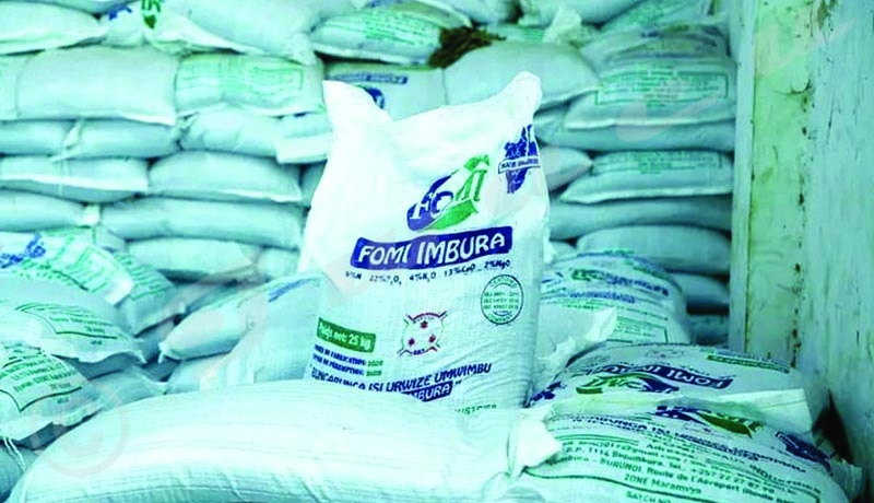 Gitega Farmers Anxious Over Fertilizer Shortage, Facing Potential Yield Collapse