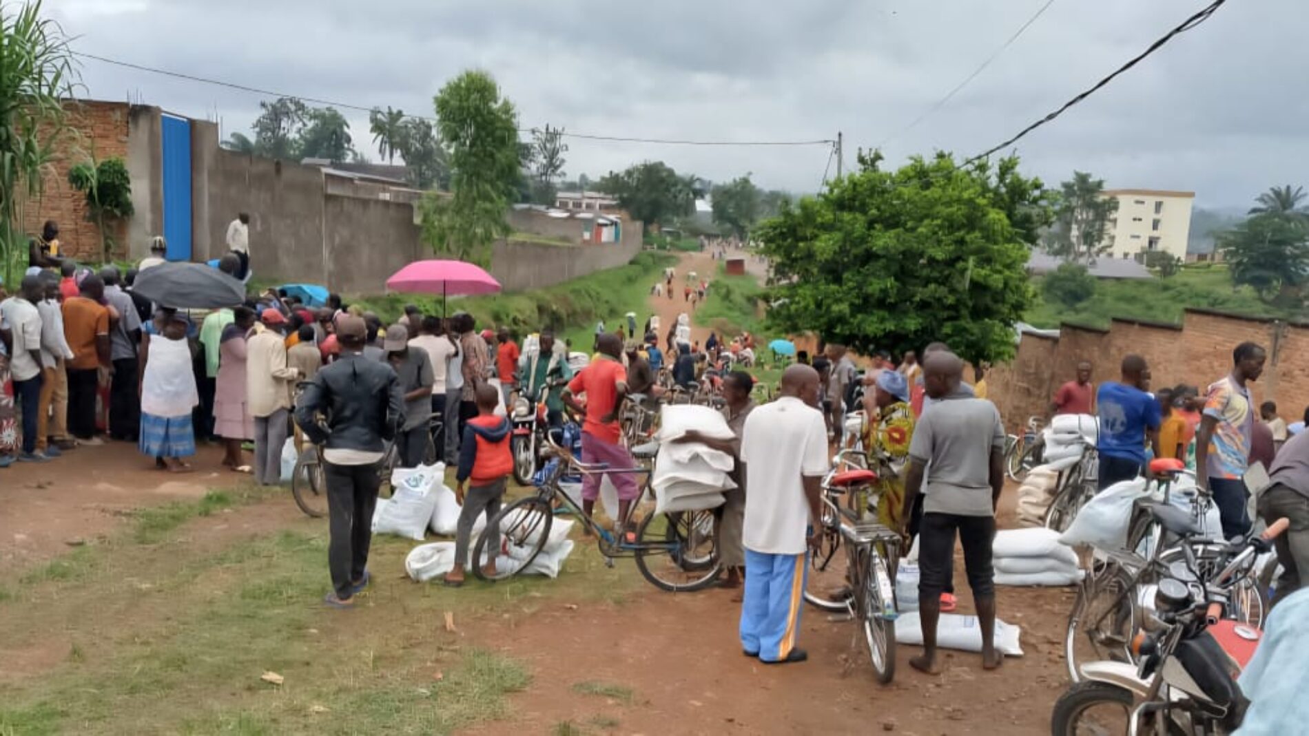 Urea Fertilizer Shortage Sparks Farmer Anger and Price Hikes in Burundi