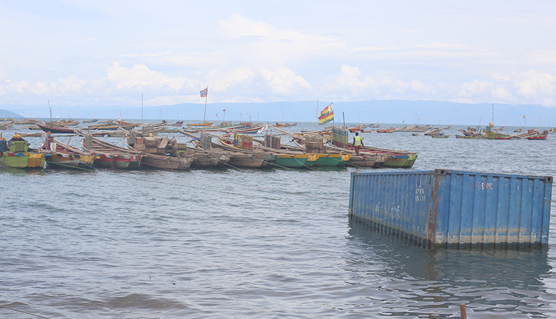 Rumonge: A Commune of Untapped Potential and Persistent Challenges