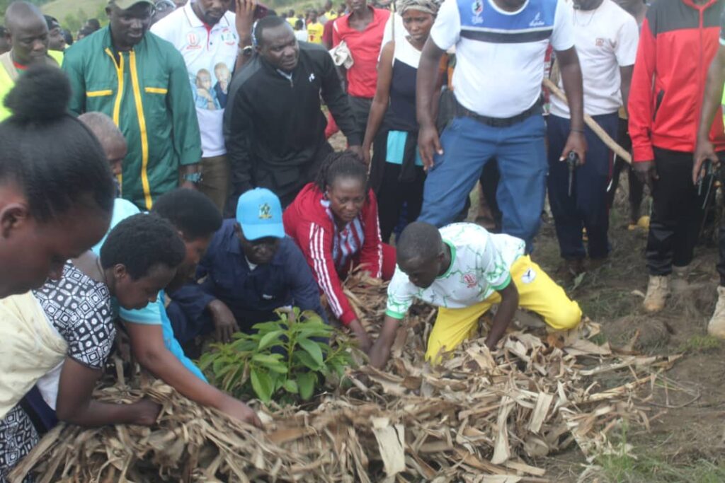 Butanyerera Province Launches Avocado Tree Campaign with Strict Penalties