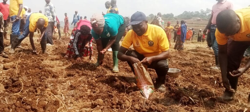 Burundi Government Urges Farmers to Maximize Maize Yields and Embrace Cooperatives