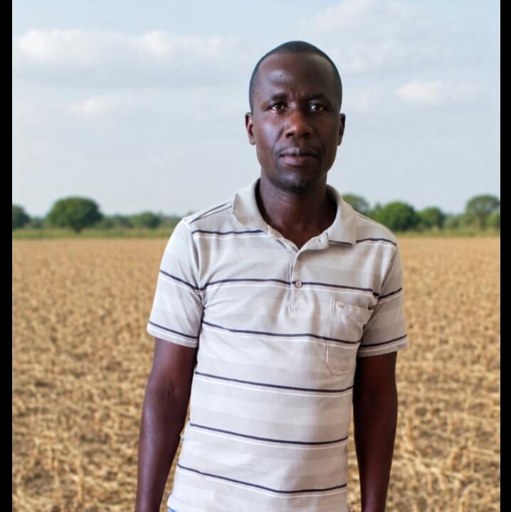Maize Production Plummets in Mitakataka Zone Amidst Weather Woes
