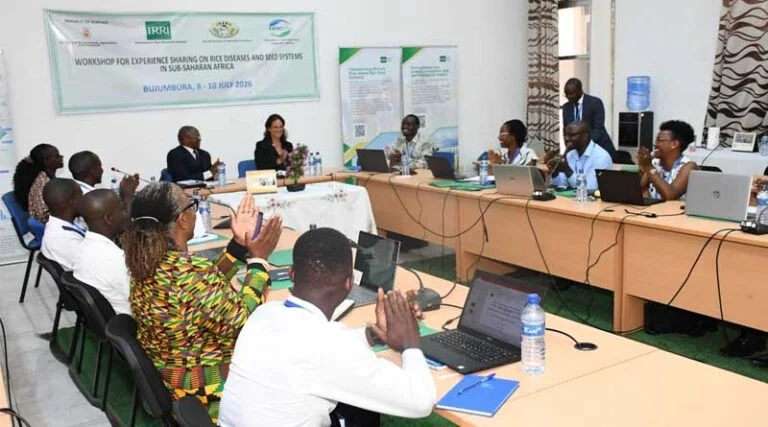 IRRI and KAFACI Workshop Tackles African Rice Productivity Challenges