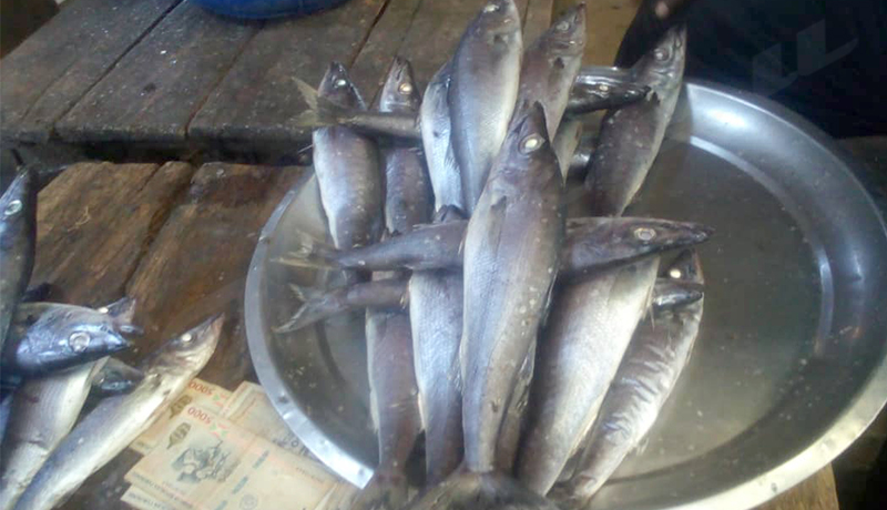 Fish Price Surge in Rumonge Market Hits Consumers Hard