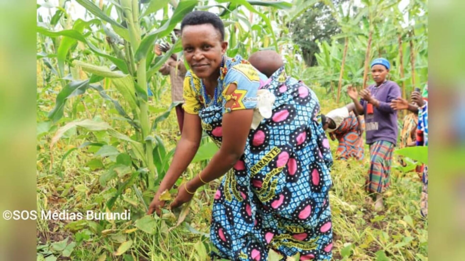 Burundi Bean Harvest Collapses Amid Fertilizer Shortage, Farmers Warn of Food Insecurity