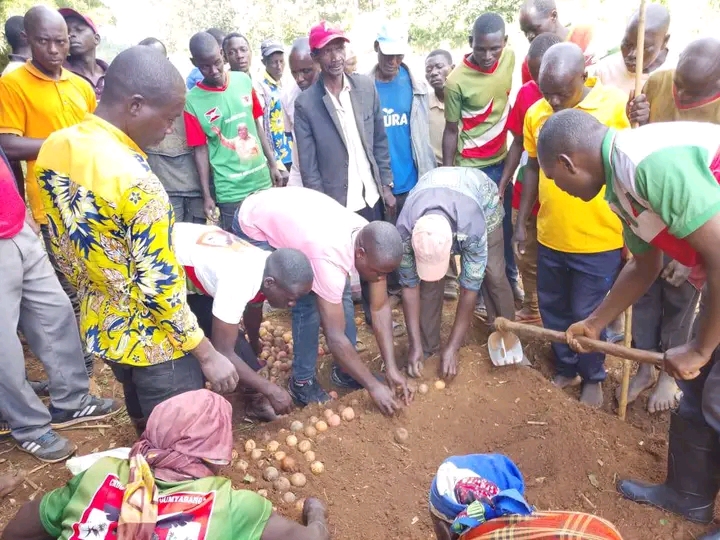 Kiganda Commune Cultivates Avocado Future to Boost Incomes