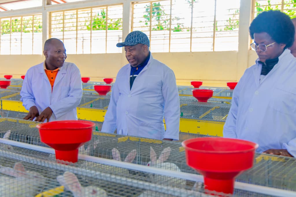 Burundi President Inspects Rabbit Farms, Suspends Karusi Project