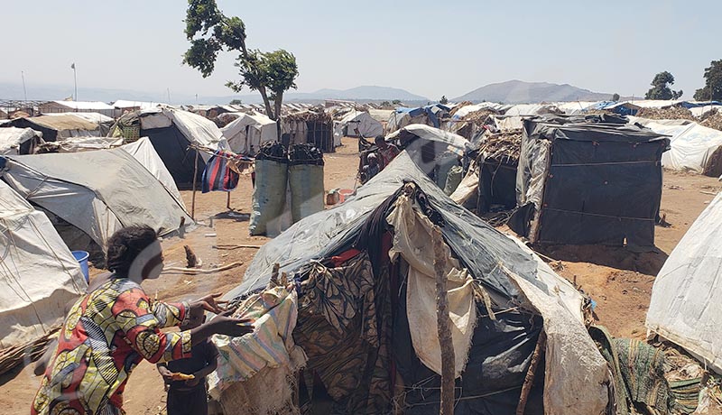 Congolese Refugees in Busuma Camp Face Crisis, Desire Repatriation Amidst Severe Deterioration