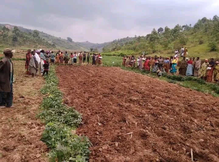 Muramvya Launches Maize Campaign, Promotes Land Pooling for Higher Yields