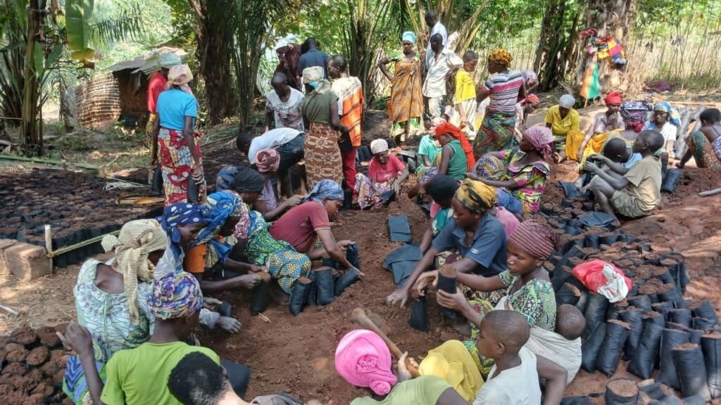 Bubanza Associations Launch Nursery Project to Boost Export Crops and Environment