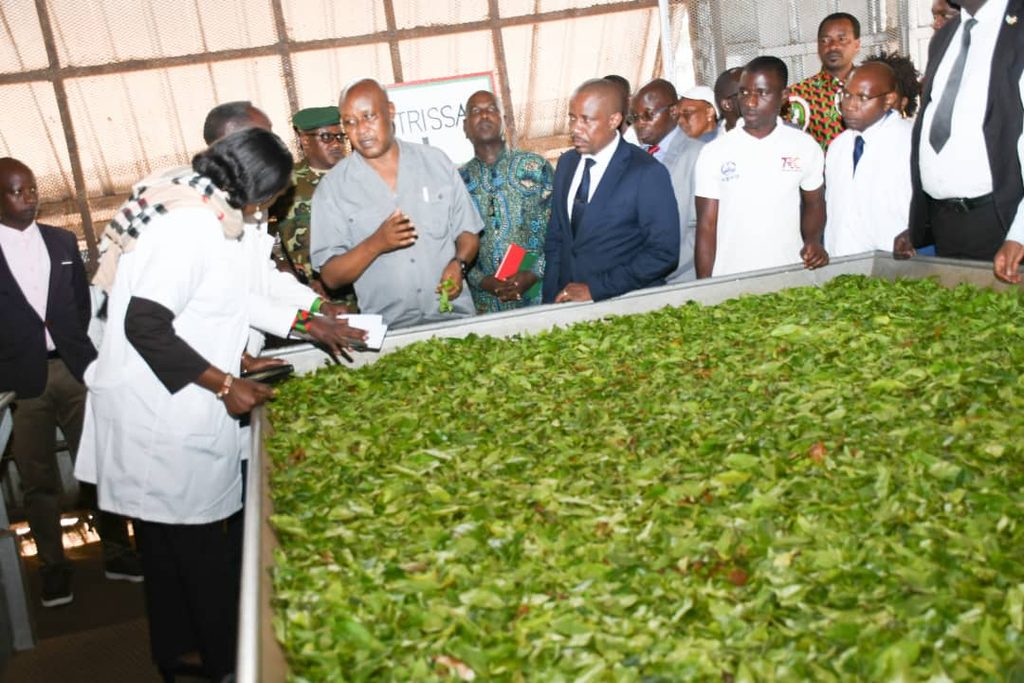 Burundi VP Urges Tea Sector Growth Amidst Production Challenges
